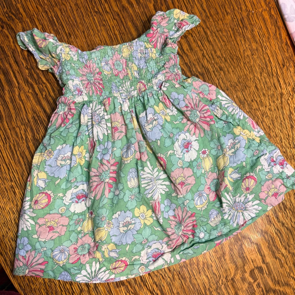 Baby Gap Floral Kids Dress - Green and Pink